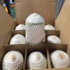 Cool Coconuts Water Coconut Green Coconut Packing Box Fresh Coconut From Vietnam