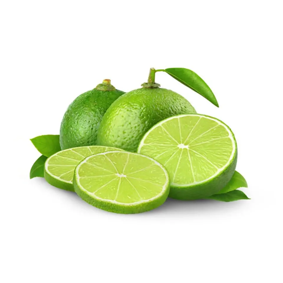Premium Quality Fresh Fruit Green Sour Taste Seedless Lime Green Lemon For Beverages Juice Drinks From Vietnam