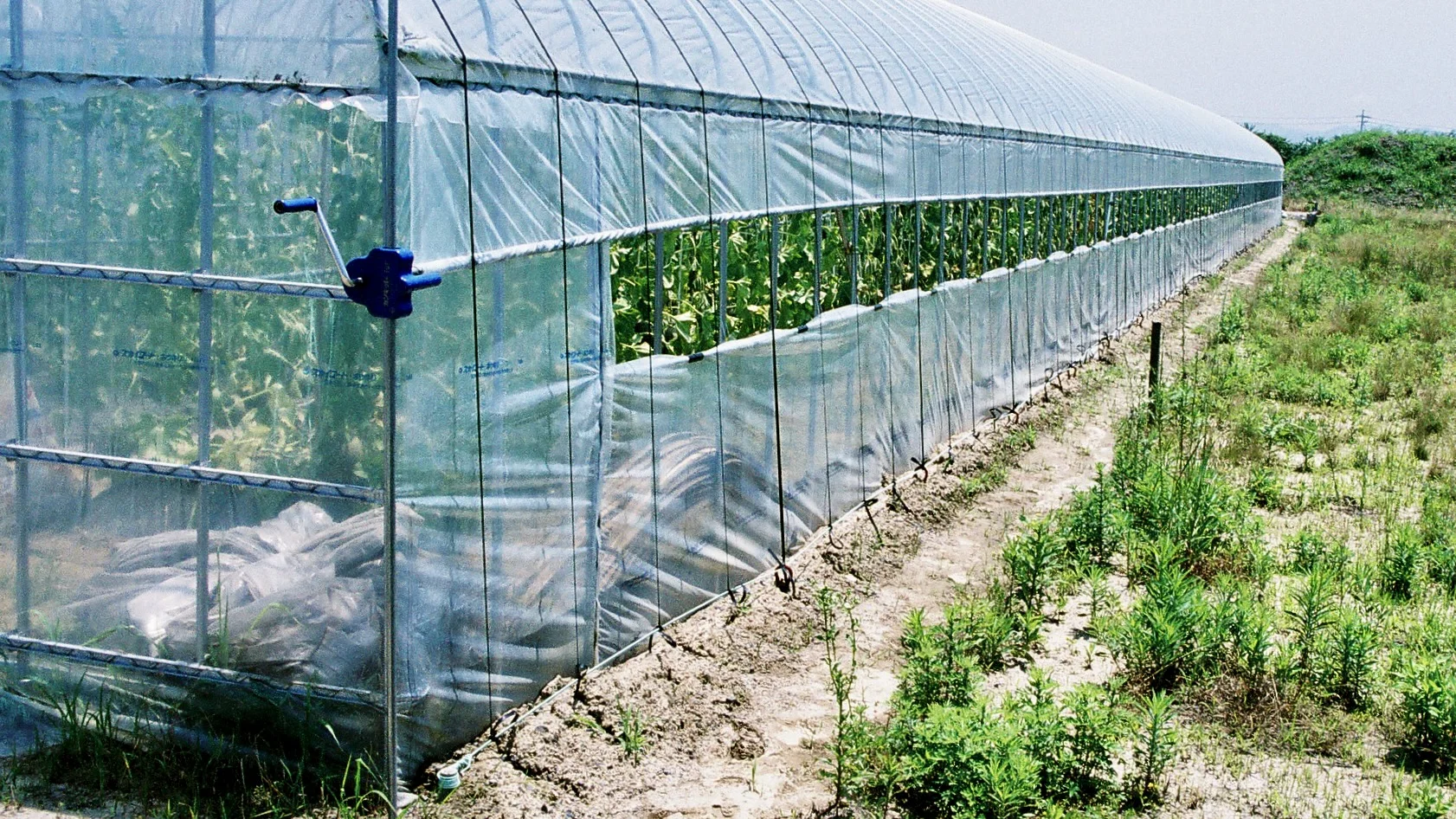 Ground Stake, Galvanized Carbon Steel anchor spike