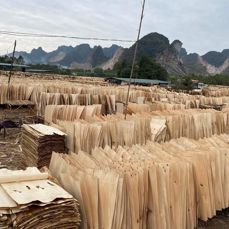 Cheap Price A Grade 100% core Rubber Wood Veneer Wood Face Rubber Veneers For Making Plywood Furniture From Vietnam