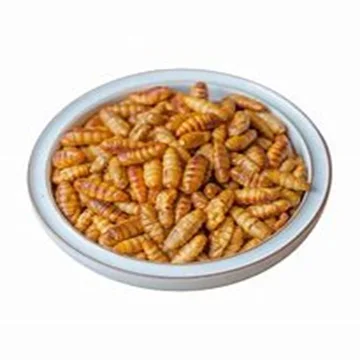 Natural Dried Silkworm Pupae Meal High-Protein Animal Feed Powder Form Fish Dogs Cattle Pigs Horses Ready Export Worldwide Cheap