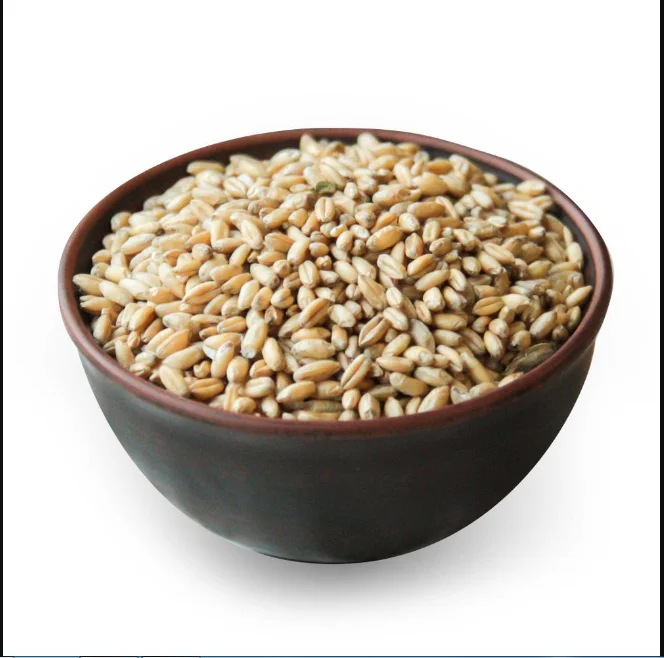 Best Selling High In Nutrients And Fiber Natural Wheat Grain Wheat Grain Bulk Buy Wheat Grains