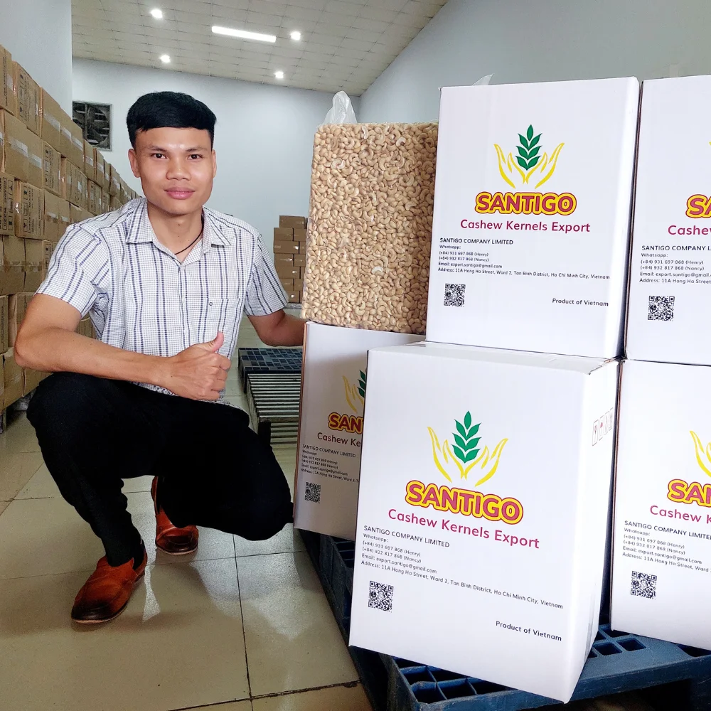 Cashew Nuts Senegal Cashew Kernel Nuts W320 W240 Cashew Nuts Price In Nigeria Wholesale Exported To US, Mid East +84931697868