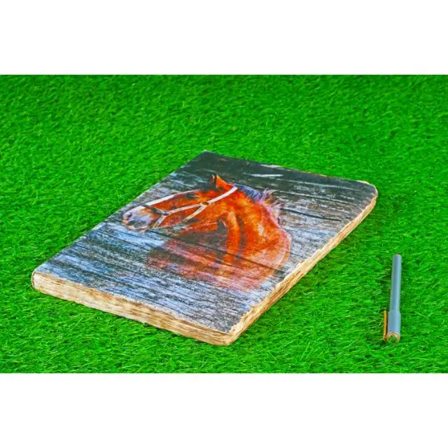 unique diaries office supplies paper notebooks  - Collectible Deluxe Gift Edition - Hardcover - Best Wholesaler - Classic Book