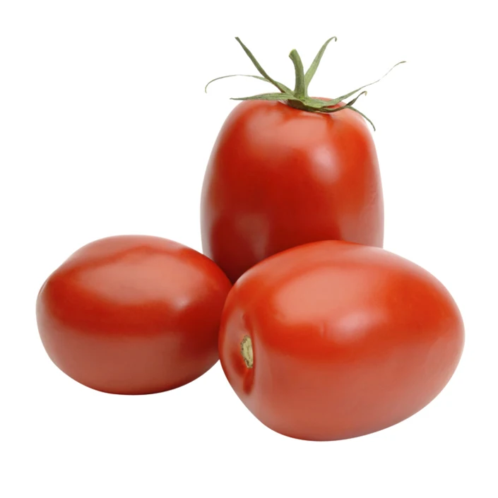 New Arrival Highest Quality Organic Fresh Red Tomatoes from Trusted Global Manufacturer and Exporter