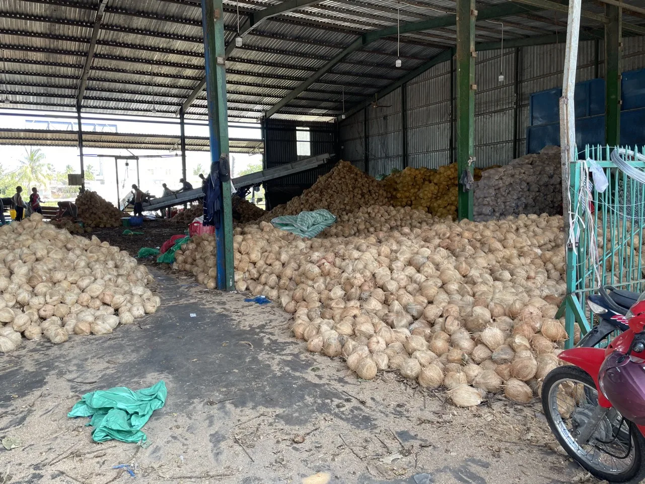 Wholesale mature semi husked dry coconut in bag Fresh newly harvested made in Viet Nam 25 pcs/30kg Phytosanitary Certification