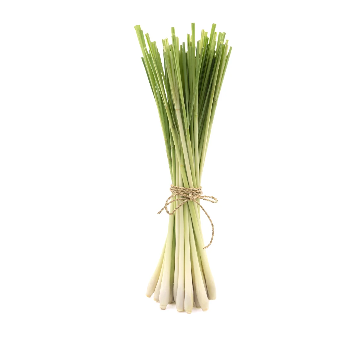 FROZEN WHOLE LEMONGRASS FROM VIETNAM - FROZEN IQF - HOT SALE WITH PREMIUM QUALITY AND CHEAPEST PRICE - GOOD SMELL, STRONG TASTE
