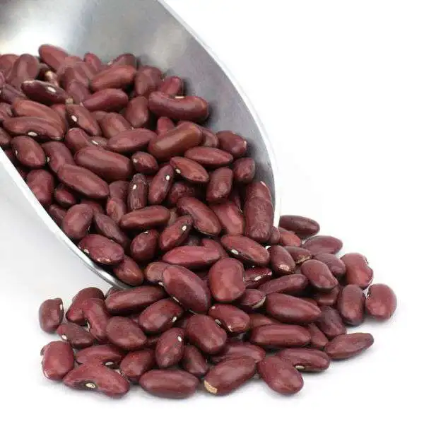 Where to buy Red kidney beans in wholesale price | Order bulk Red kidney beans now