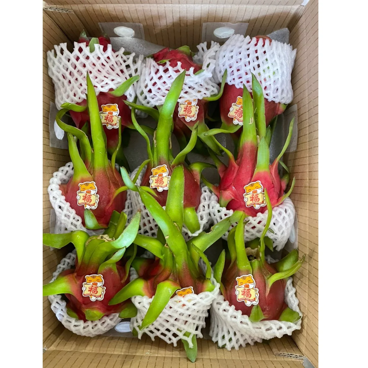 Organic Tropical Fruit Red and White Flesh Dragon Fruit Sweet Taste Agriculture Product