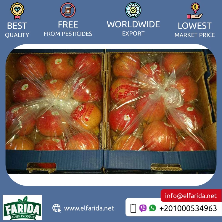 Premium Quality Hot Selling 100% Natural Sweet and Delicious Taste Red Fresh Fruit Pomegranate from Egypt at Low Price