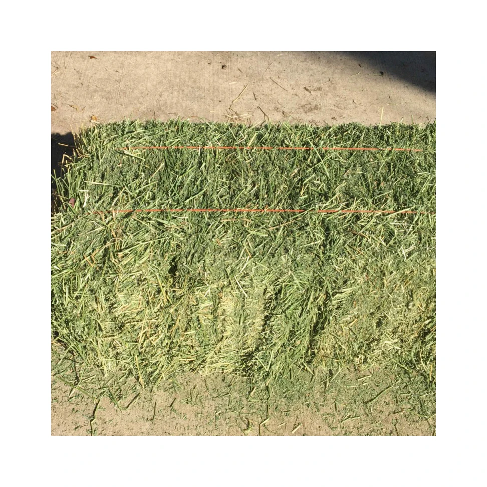 Alfafa Hay Animal Feeding Stuff Alfalfa, hay/alfalfa hay pellets Timothy Hay/ Alfafa in Bales
