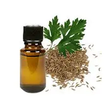 Cosmetic Grade Factory Wholesale Oil Parsley Seed Oil