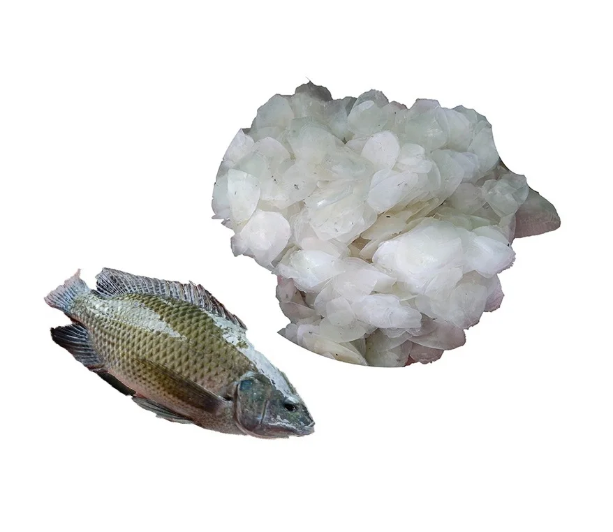Cheap Price 100% Best Quality Bulk Dried Fish Scale Natural Sun from Vietnam / Fast delivery and quality/