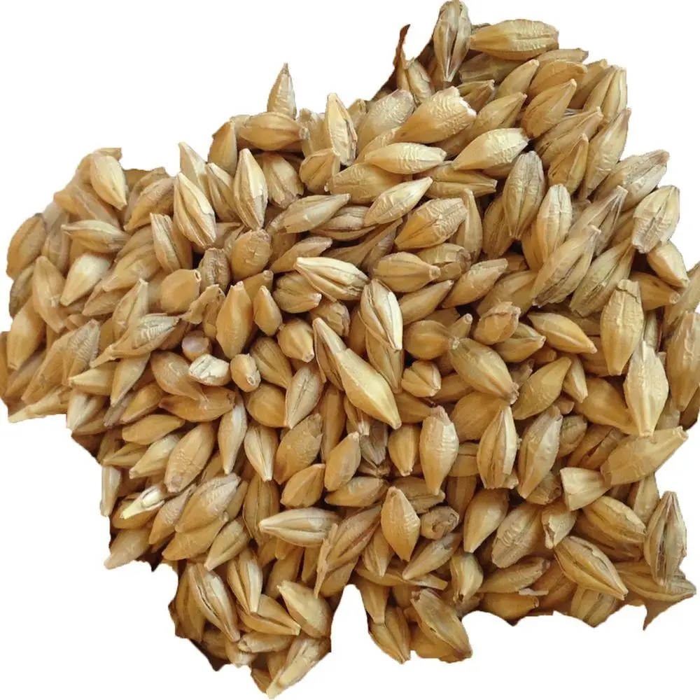 Barley Max Yellow White Animals Customized Crop Style Packaging Color Brown Origin Type Year Dried PROTEIN Supply Min Broken