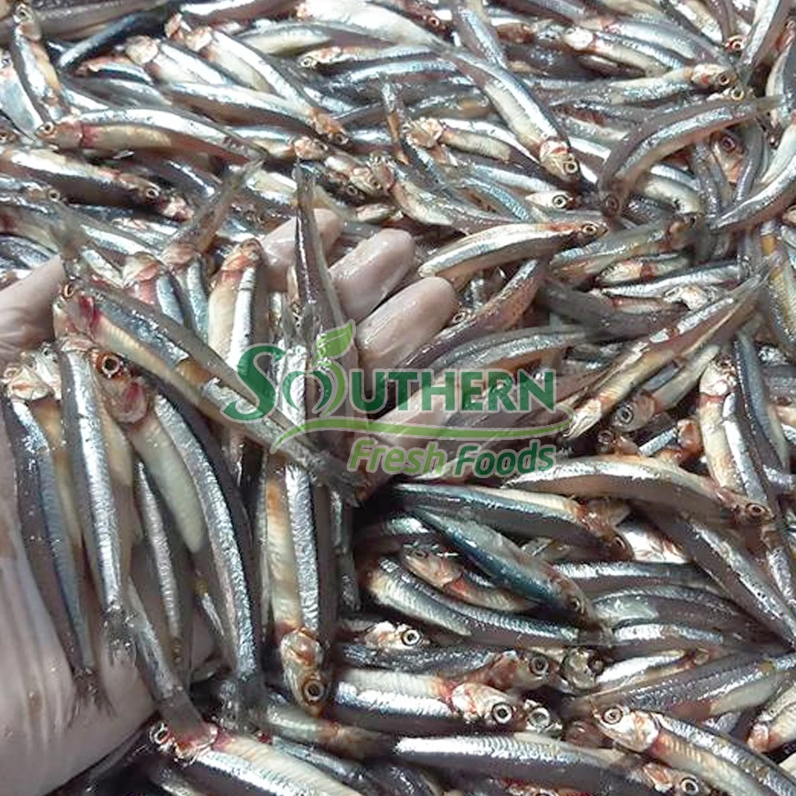 Bulk Sales Sea Fish Size process IQF Wild Caught SFF weight packaging anchovy Frozen Blue Anchovy from Vietnam