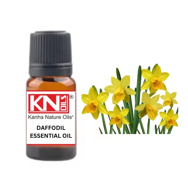 New Arrival  Floral Daffodil Scent Candle Scent Oil Long Lasting Essential Oils  from india largest manufacture