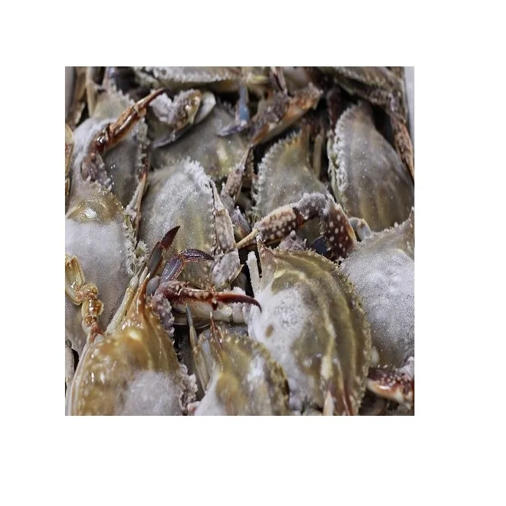 Original Fresh / Frozen Sea Crab At Cheap Wholesale Price
