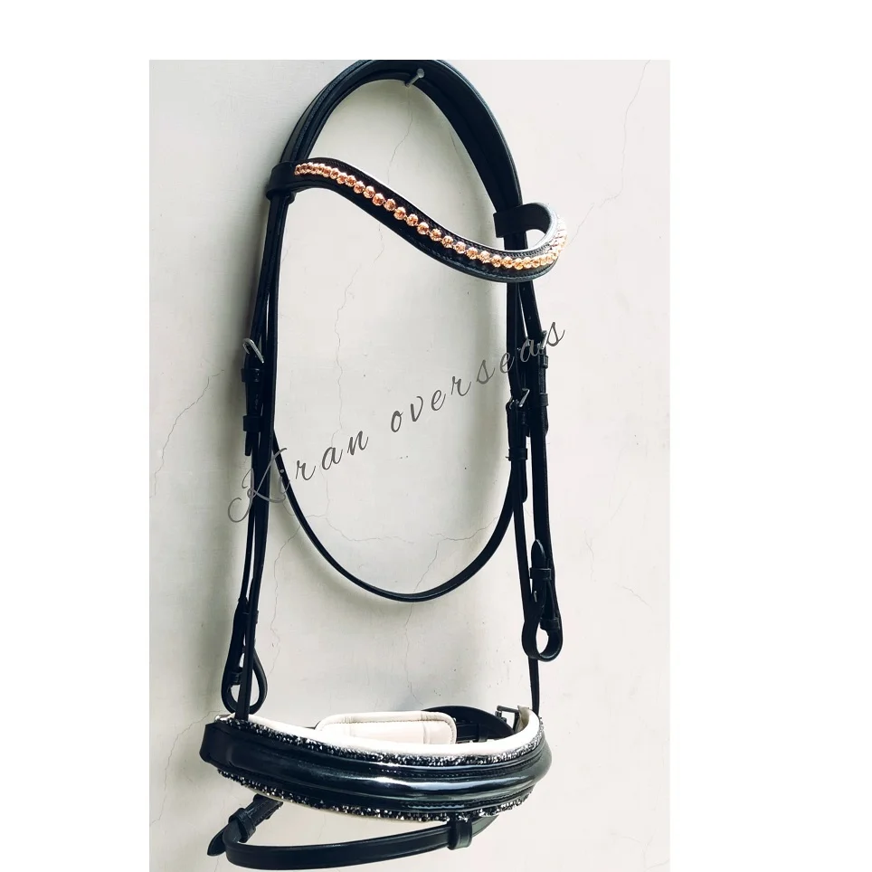 leather bridle