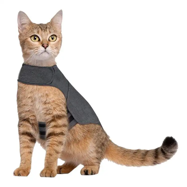 Cute Fruit Dog Clothes for Small Dogs hoodies Warm Fleece Pet Clothing Puppy Cat Costume Coat