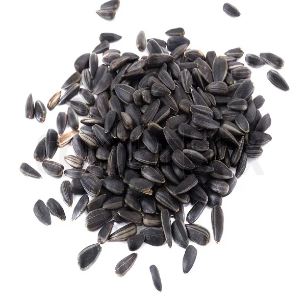 Factory Supply Sunflower Seed Protein 65%