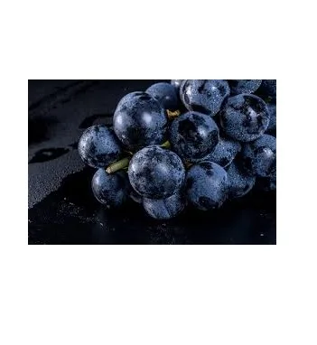 Лидер продаж, черный виноград премиум-класса С ХОРОШИМ содержанием сладкого вкуса, доступен по оптовой цене от индийского экспортера