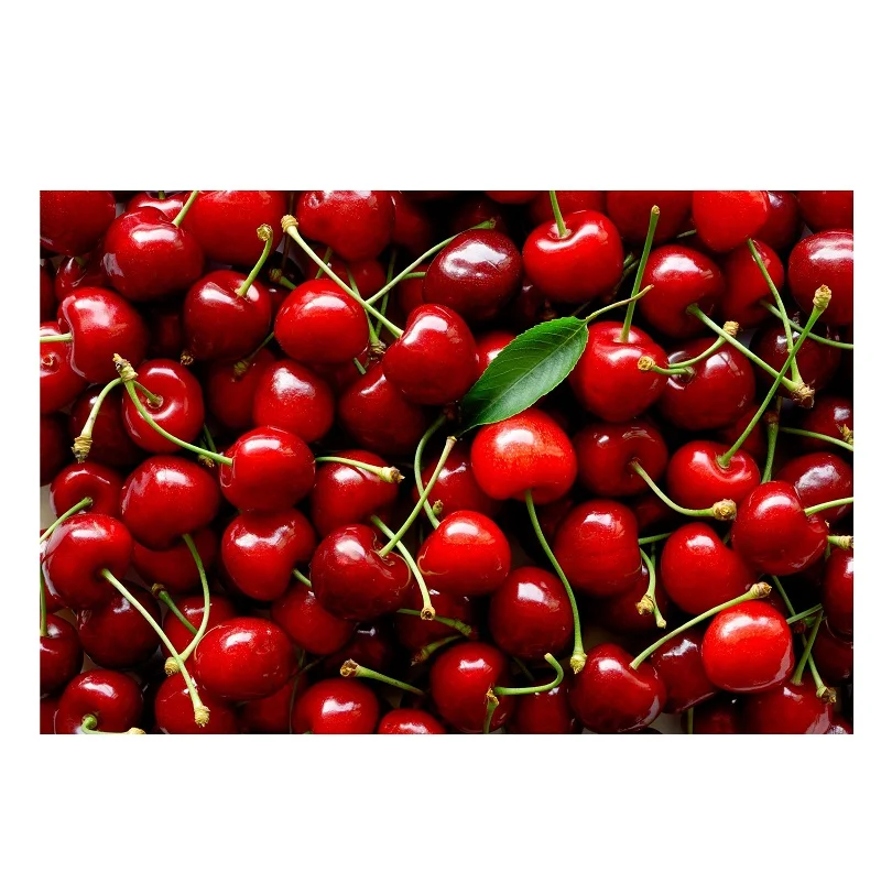 Top Quality Pure Fresh Fruit Cherries For Sale At Cheapest Wholesale Price