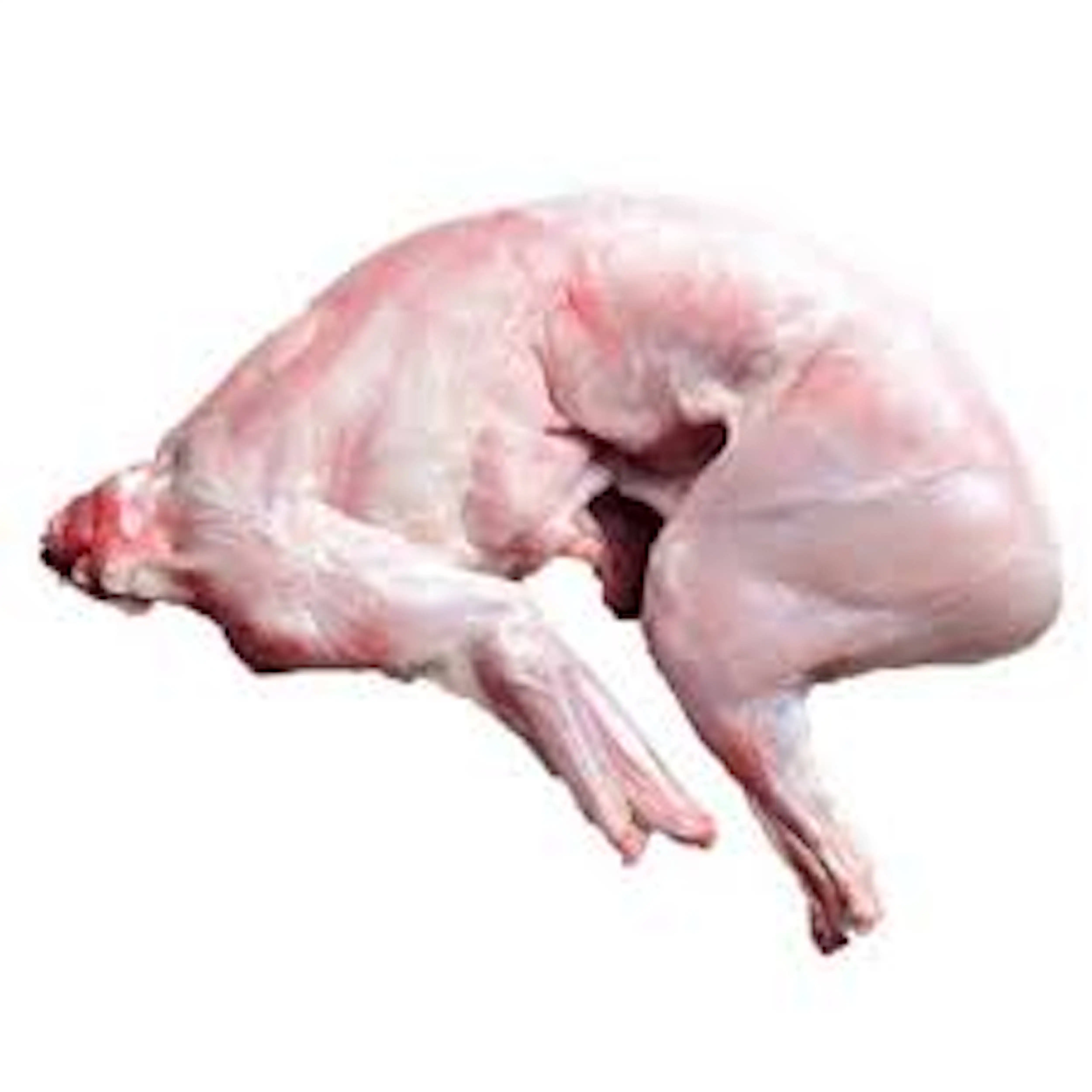 Wholesales  Frozen Duck Meat For Export