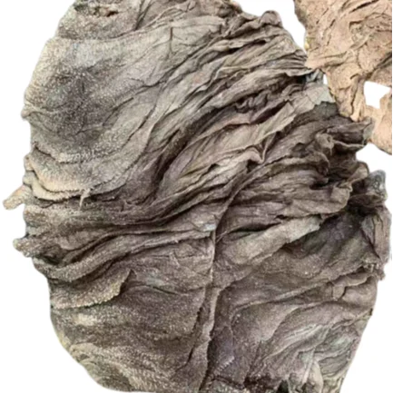 Salted & dried frozen & fresh omasum / beef meat omasum , High Quality Omasum / Omasum Suppliers from France