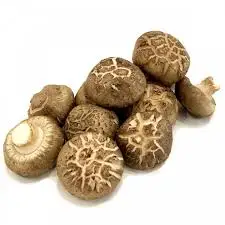 Premium Natural Dried Shiitake Mushroom Good Delicious Size 3-4 cm for Wholesale Cheap Price