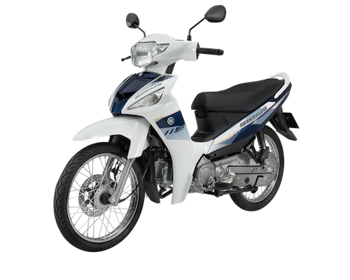 Vietnam new motorcycles 115CC disc brave