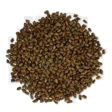 Best Quality Pure Natural Cassia Tora Seeds Herbs medical sortex clean organic product in customer packing