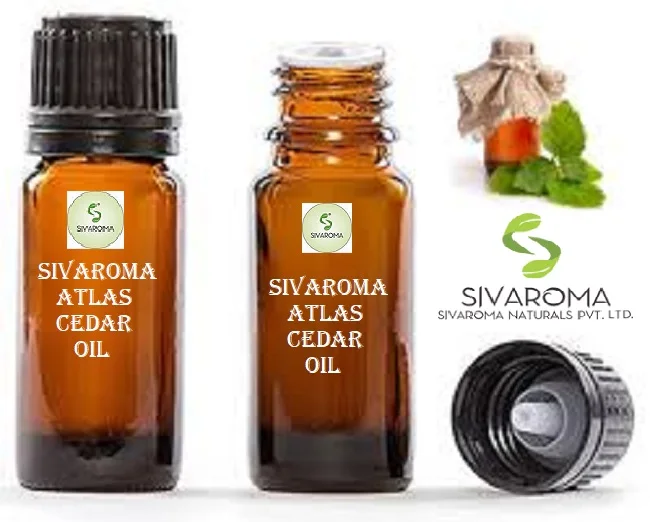 World Wide Purchase Health Beneficial 100% Pure and Natural Organic Atlas Cedar Essential Oil at Best Price for Sale for Bulk