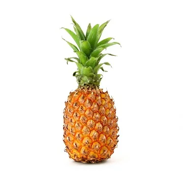 Fresh Pineapples Quality Fresh