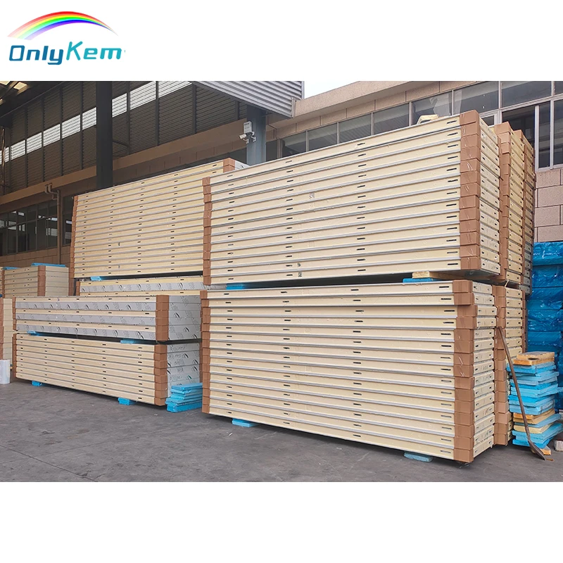 Cold Room Panel/Cold Storage Panel/PU Sandwich Panel