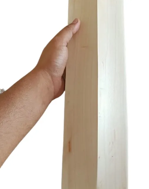 English Willow Customize top Professional Players Quality Cricket Bat Brand Srinika Sports