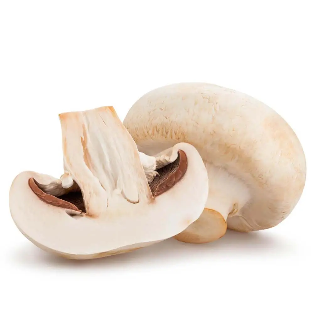 Top Quality Delicious White Edulis Frozen Black OEM KOSHER Style Mushrooms Color Stem Weight Shelf Origin Type Certificate Life