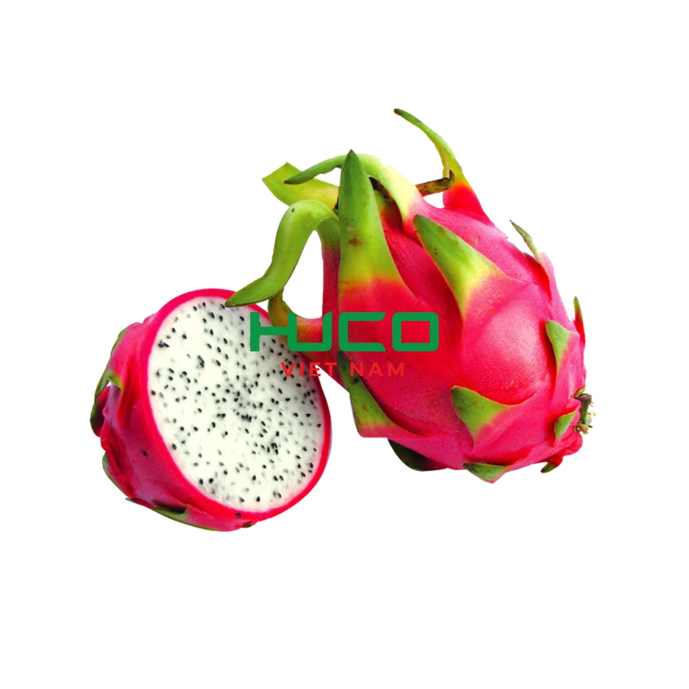 Very Cheap Price Dragon Fruit/ Wholesale Pitaya Fruit Vietnam/ Fresh Dragon Fruit