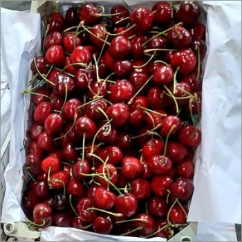 High grade non-GMO sweet cherry wholesale fresh fruits from South Africa new crop