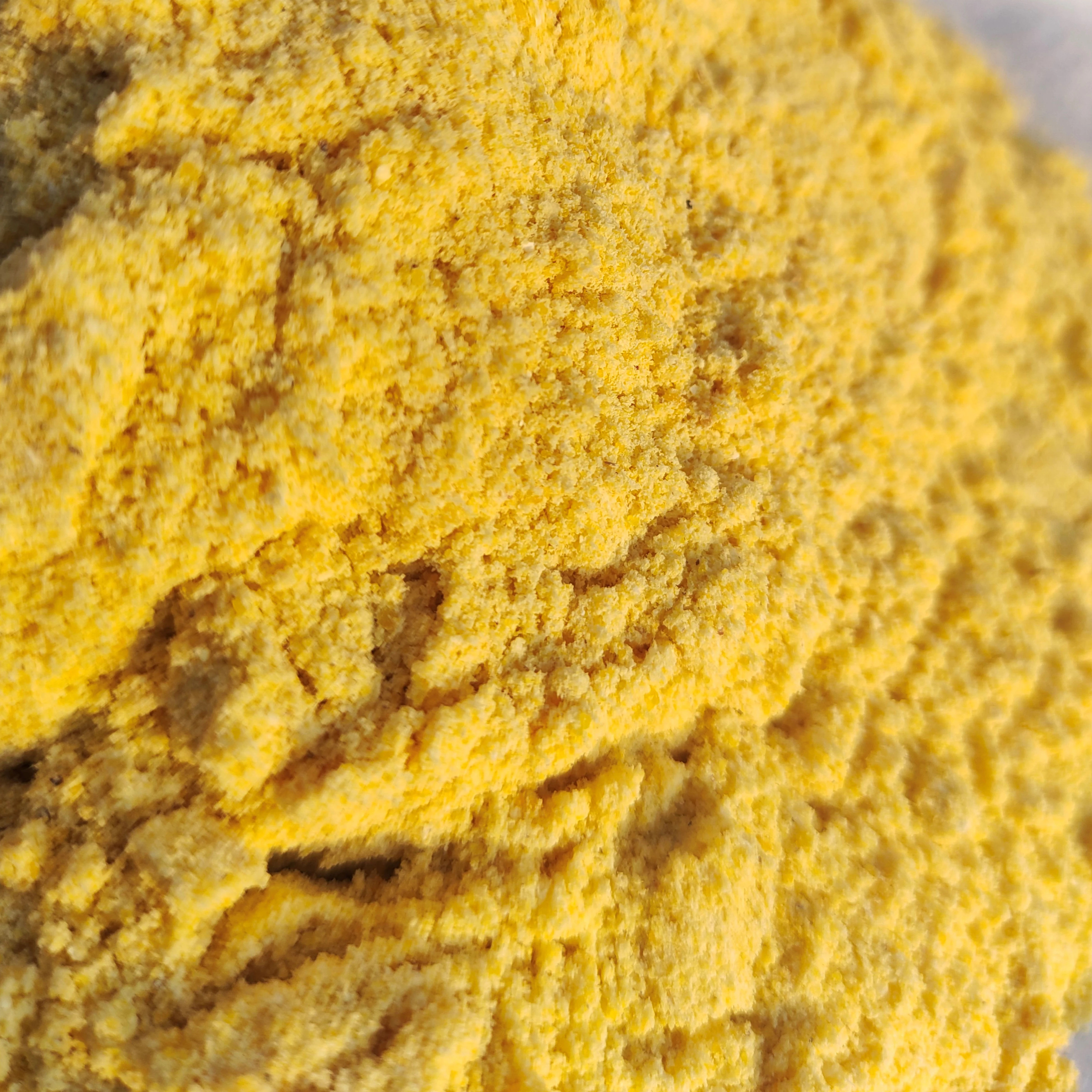 organic pure yellow corn maize powder  maize flour for agricultural animal feed from indian manufacturer and exporter