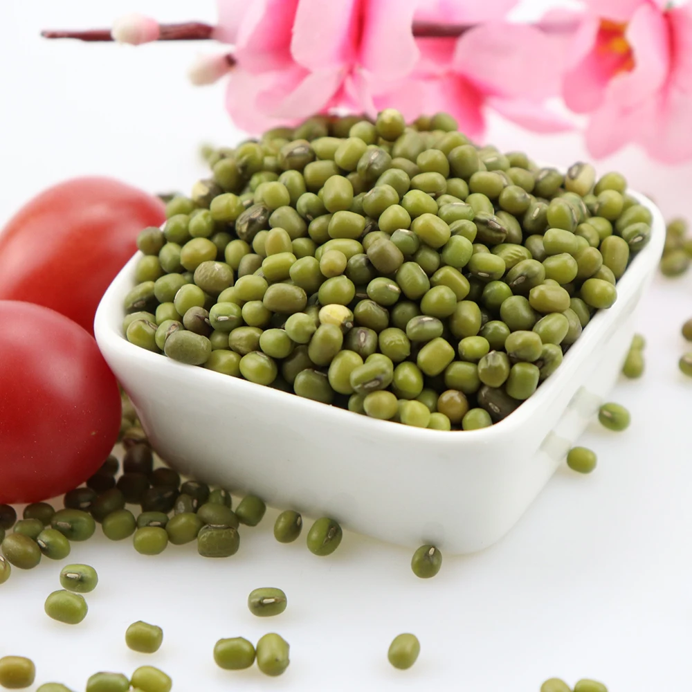 Wholesale Premium Agroculture Organic Dried Mung Bean Sprouts Mung Green Beans for Sale