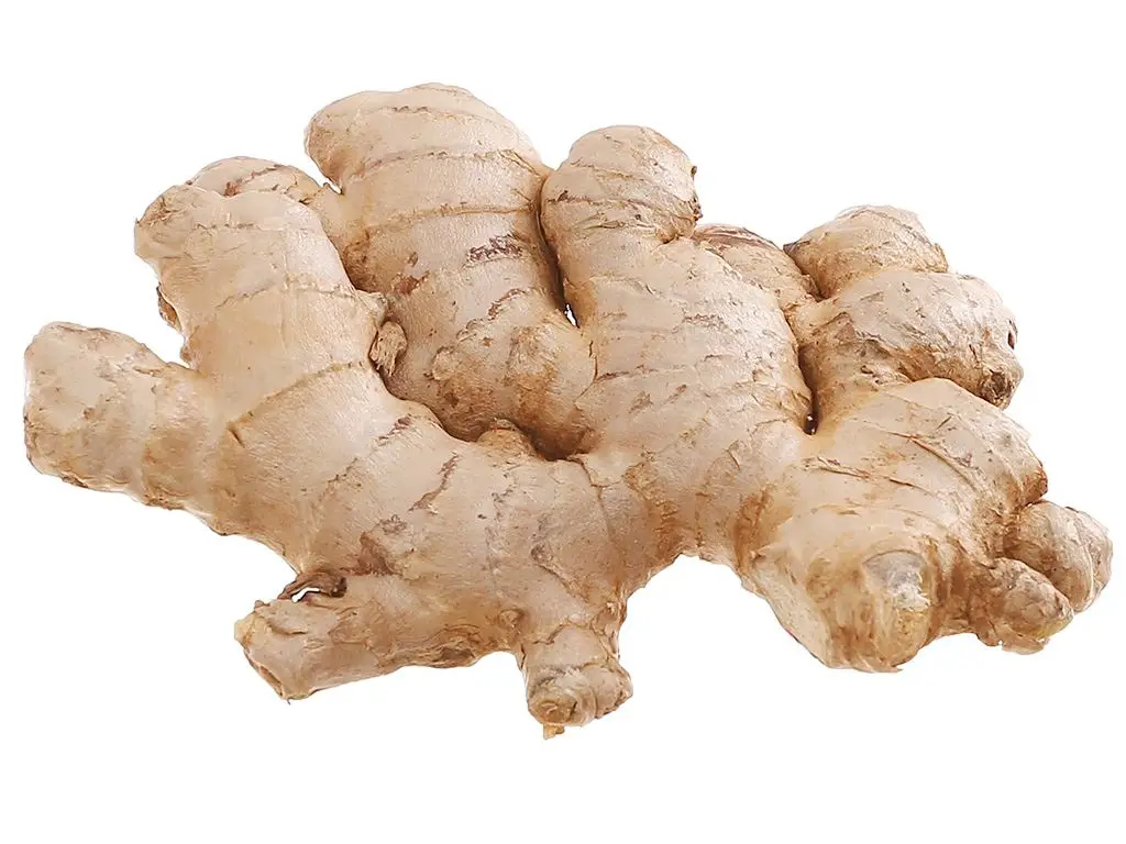New 2023 Crop - Vietnam Fresh Ginger, Ginger Powder, Dry Ginger - Vietnam Spices - Ginger Exporter - Ready For Delivery
