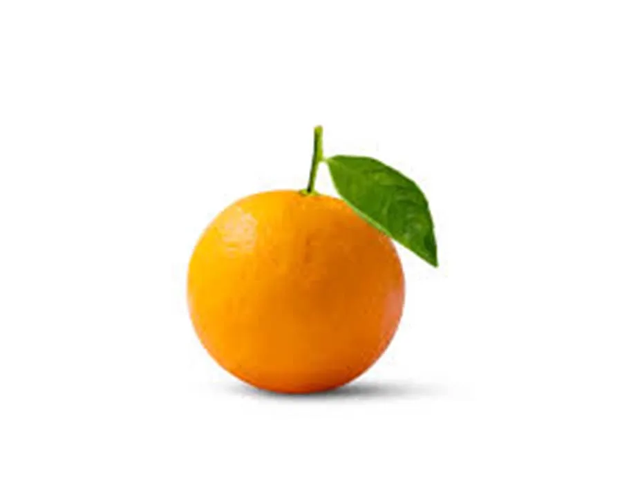 Wholesale Orange Sweet Bulk Mandarin Citrus Oranges Fruits  Pakistani Mandarin Oranges Kinnow Grade a quality Citrus