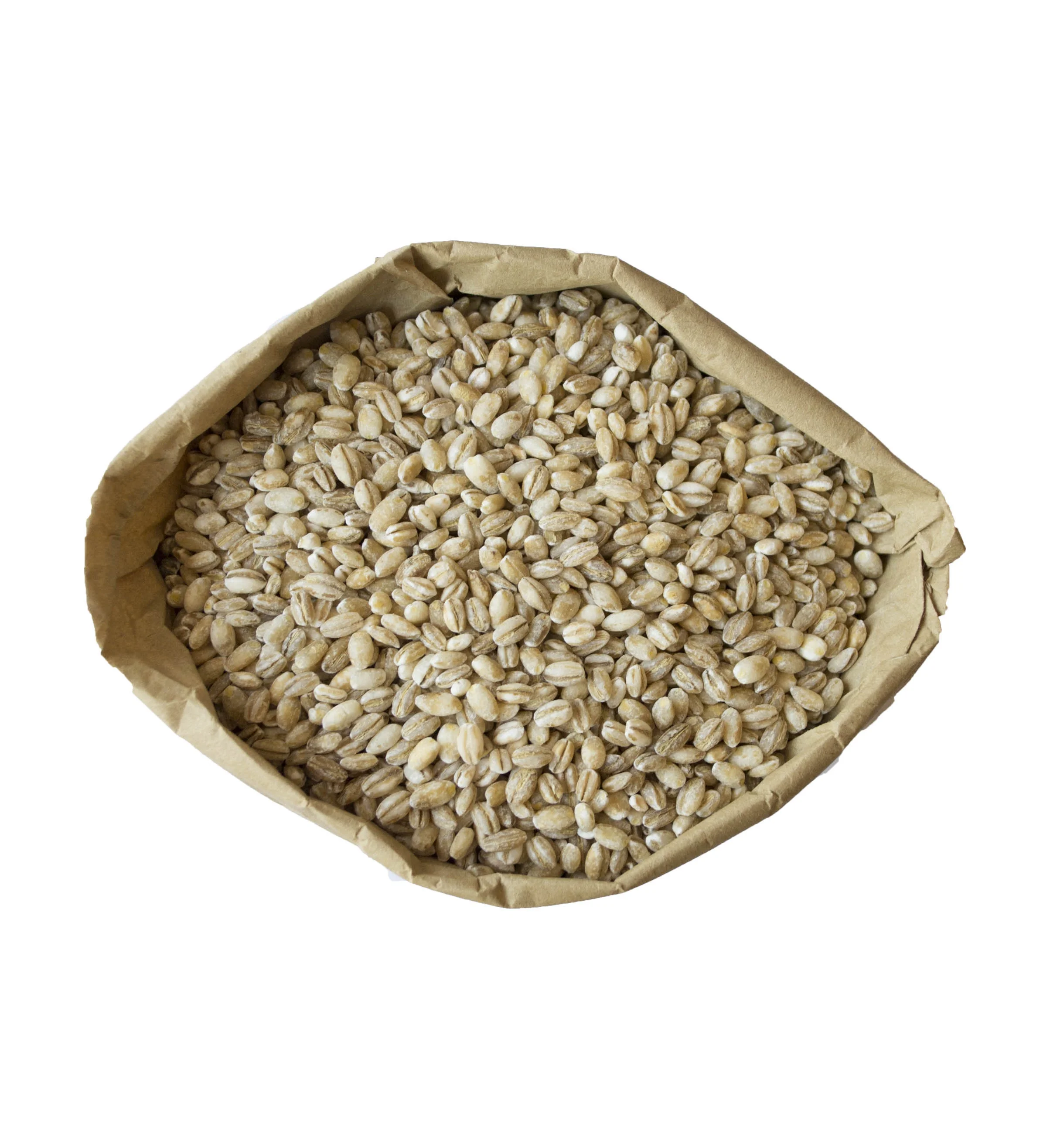 Wholesale Good Quality Beneficial in Nutrients Barley Grains