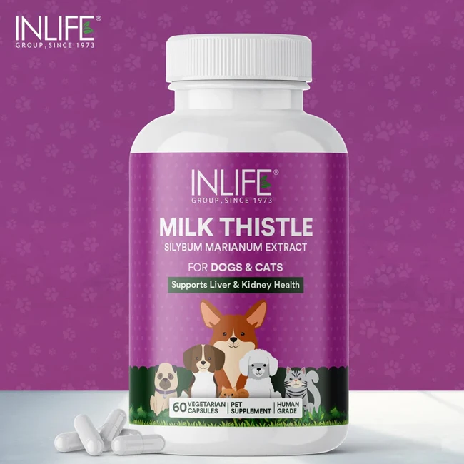 Premium Milk Thistle Capsules Traditional Herbal Support for Pets with Pure Vegetarian Ingredients