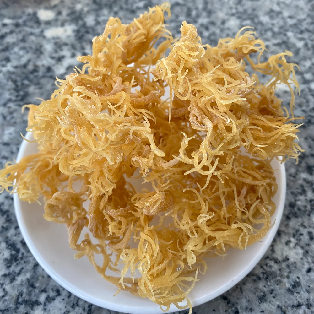 High Quality 100% Oragnic Natural Gold Sea Moss/ Irish Moss / Wildcrafted Sun Dried Seamoss From Vietnam