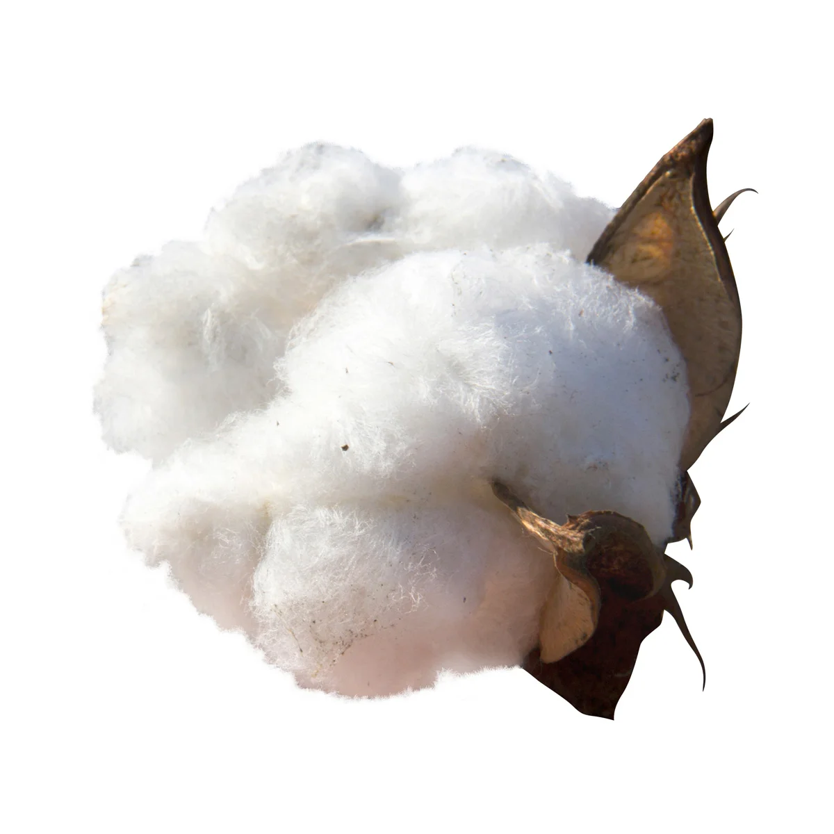 Hot selling loose cotton cellulose in bulk manufacturer price cotton cellulose