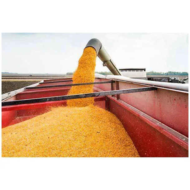 Оптовая продажа корм для кукурузной муки клейковины животных поставщик высококачественный ряд Независимый маленький