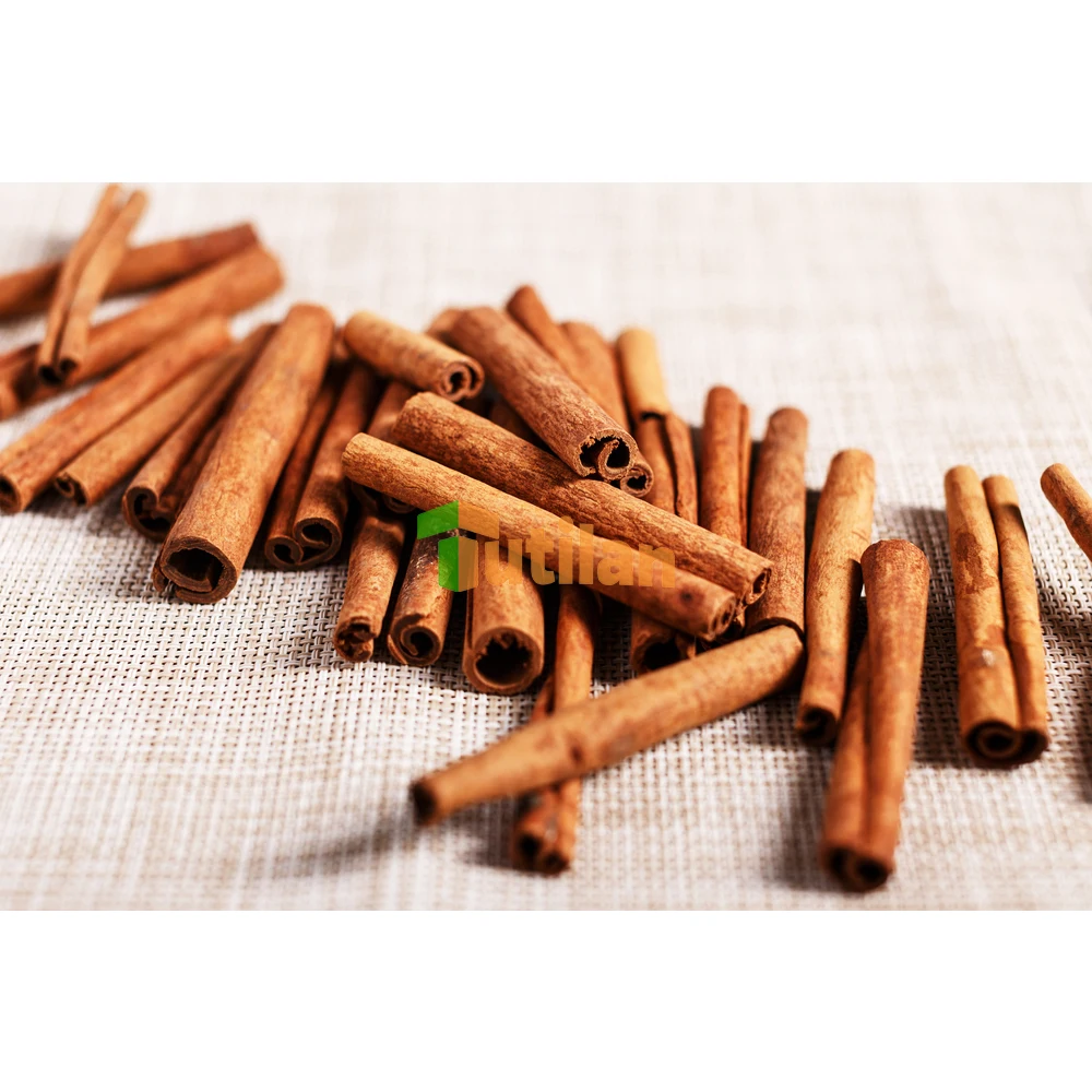 Planting Quality Assurance Dried Cinnamon Factory Wholesale Price Cassia Cinnamon Stick