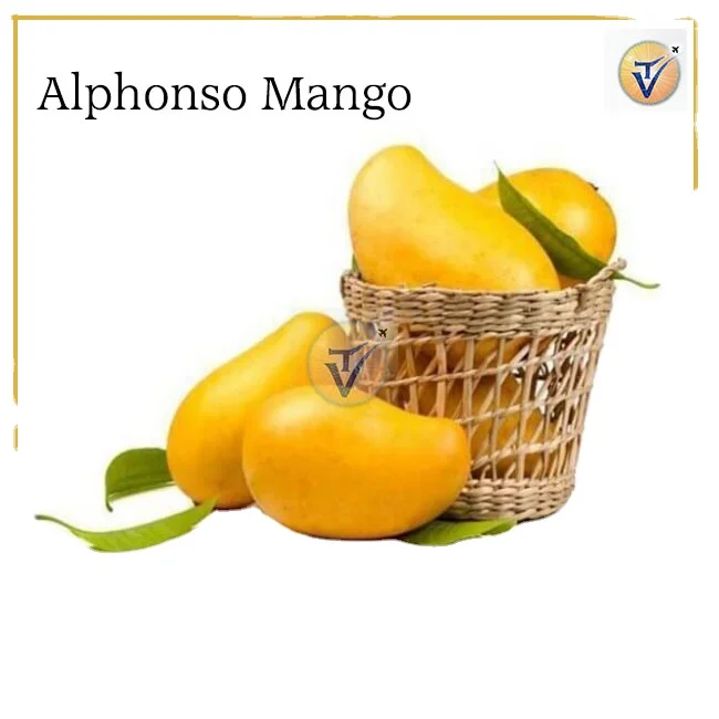 Sweetest Fresh Alphonso Mango Exporter from India - Fresh Quality Alphonsa mango - Fresh Mangoes Exporter