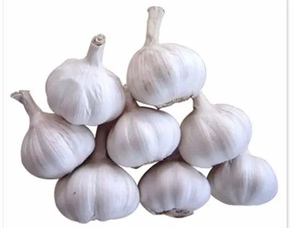 Wholesale Newest Crop Sumatra Red Onions Fresh and Original from Indonesia Premium Quality Onion Suppliers